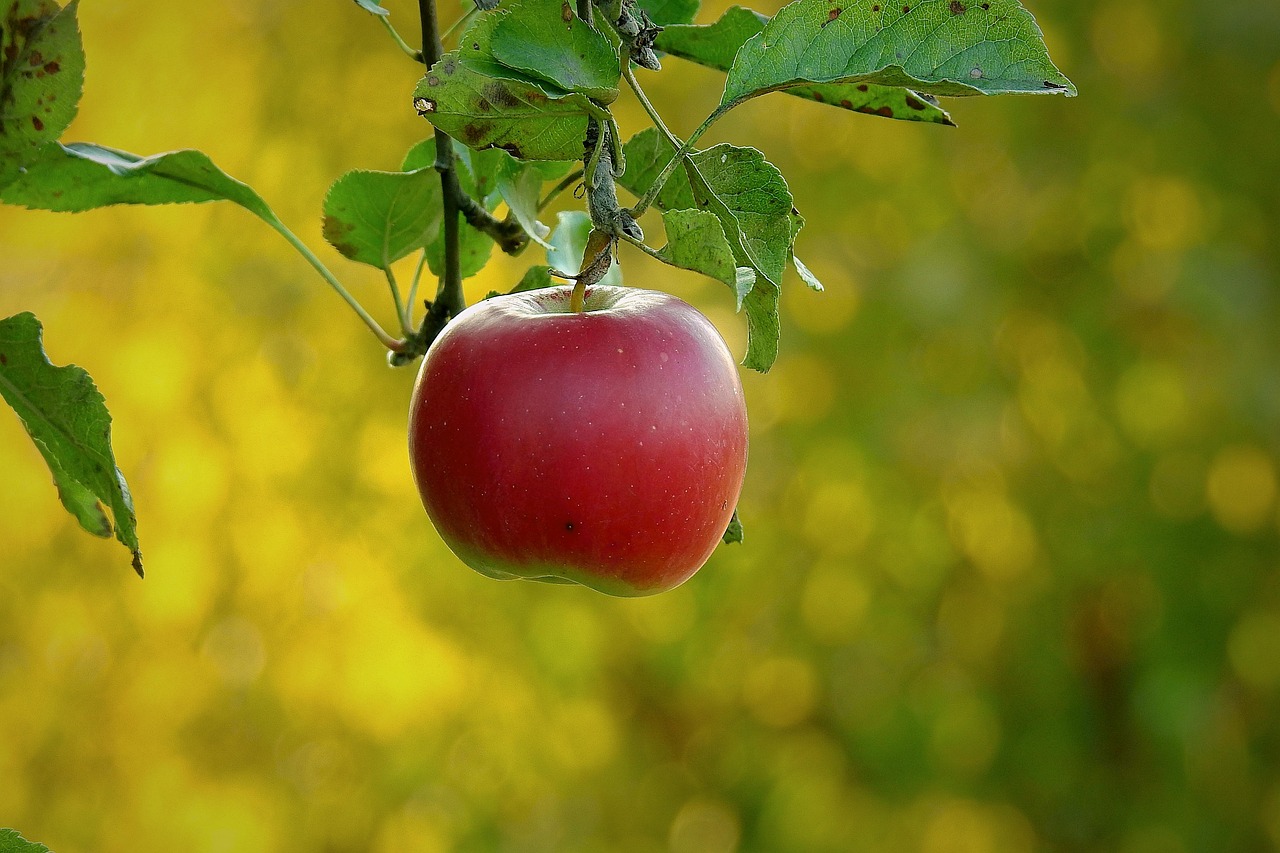 Apple, paradise fruit, health — Benefits of Copper Bottle