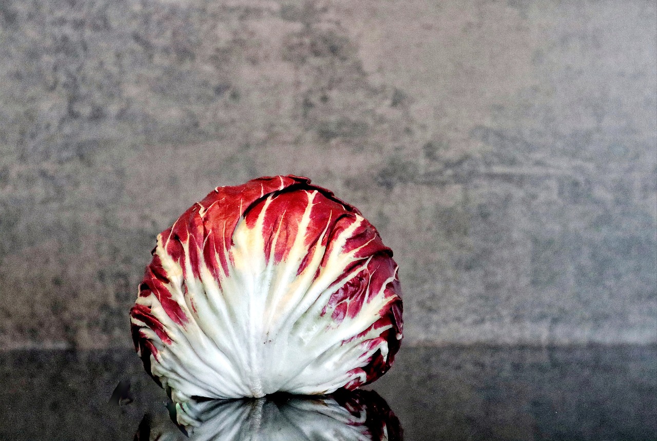 Salad, radicchio, food — Cable Machine for Functional Training and Full Body Strength Workouts in Gyms