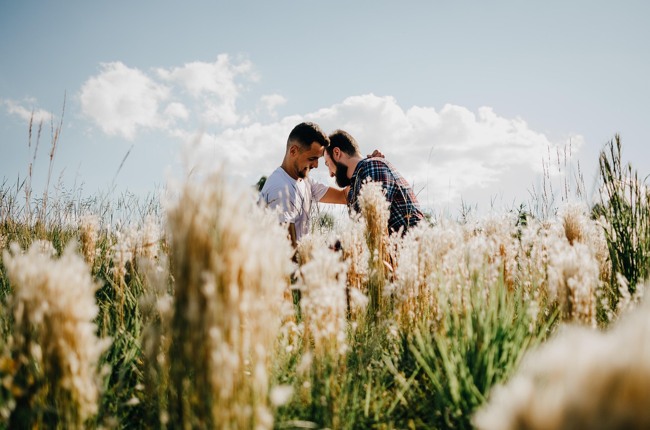 Lovers, meadow, outdoors — Choosing the Right Roofing Contractor: Key Considerations