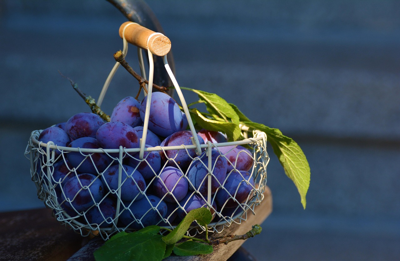 Plums, fruits, basket — Creating Delight: A Step-by-Step Guide to Homemade Churros