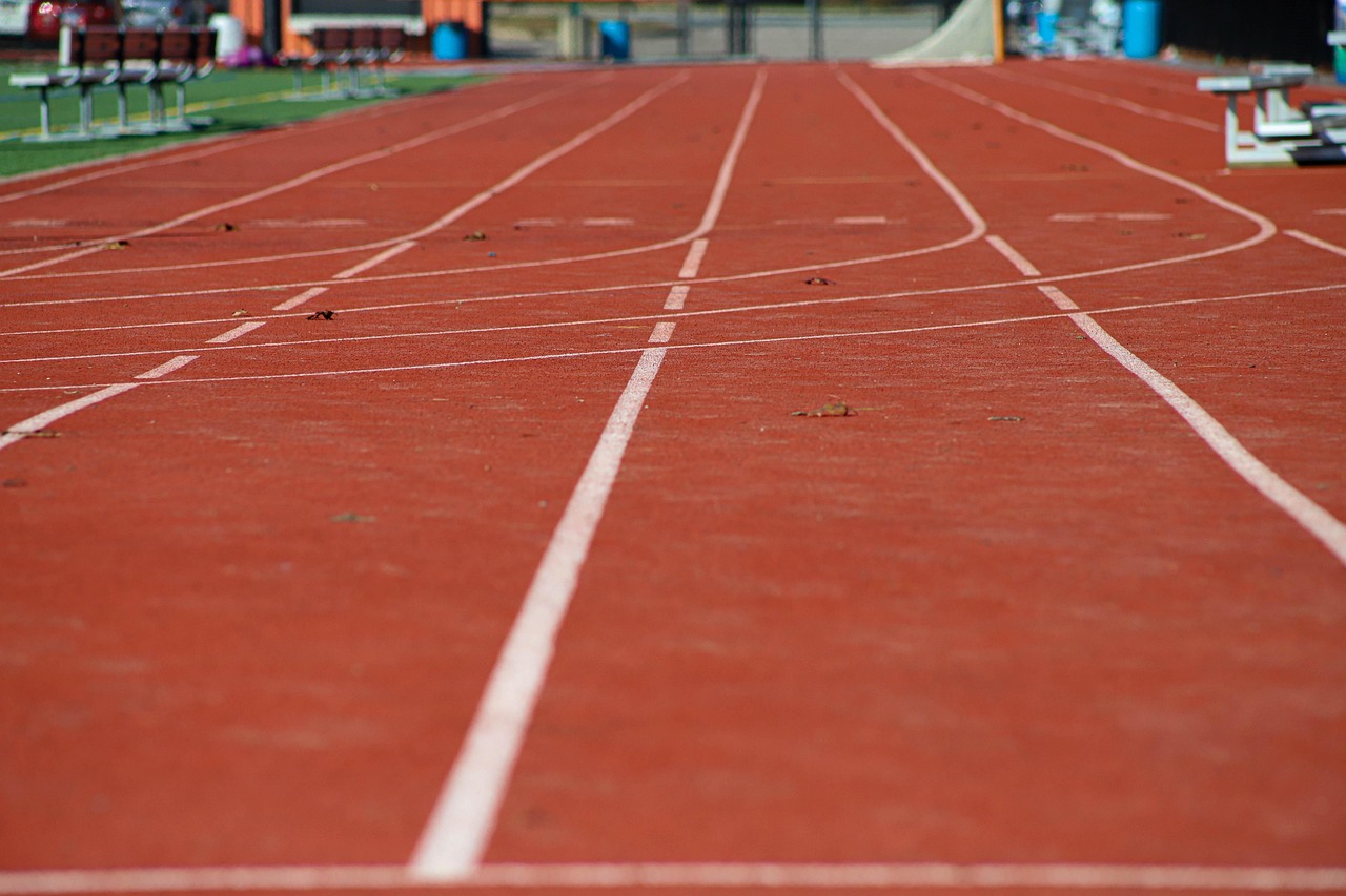 Track, race, perspective — Few unknown secrets about betting world