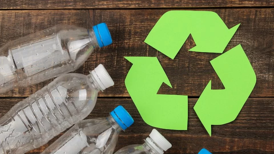 How Recycle PET Contributes to the Circular Economy