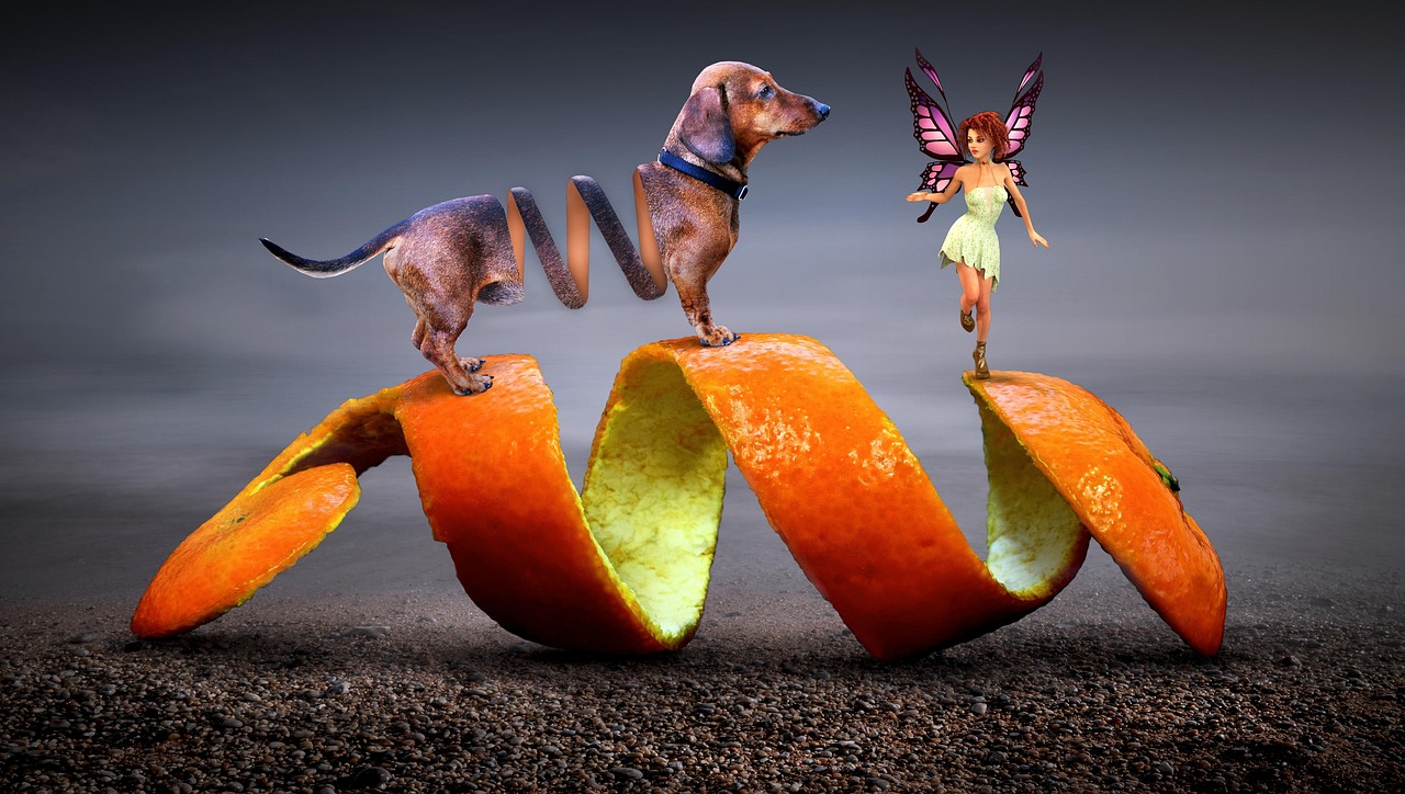 Fantasy, dog, elf — How to make your secret dream come true?