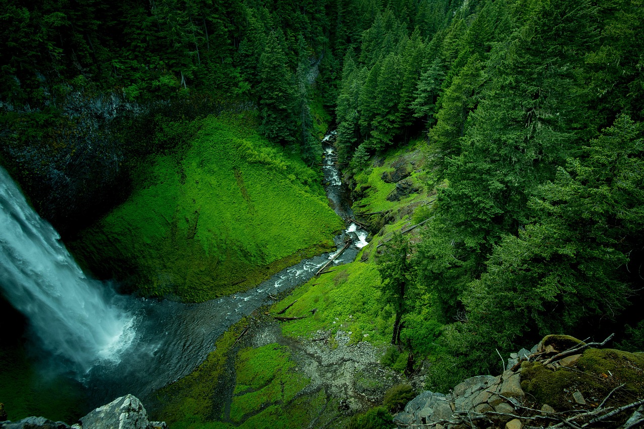 Creek, waterfalls, trees — How to Stream NHL Games Live: A Complete Guide for Hockey Fans