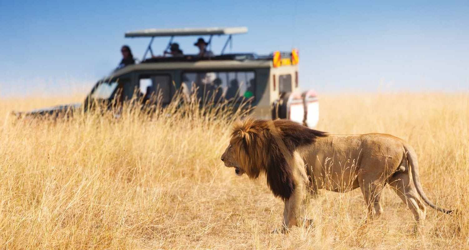 Into the Wilds of Africa: Safaris and Survival