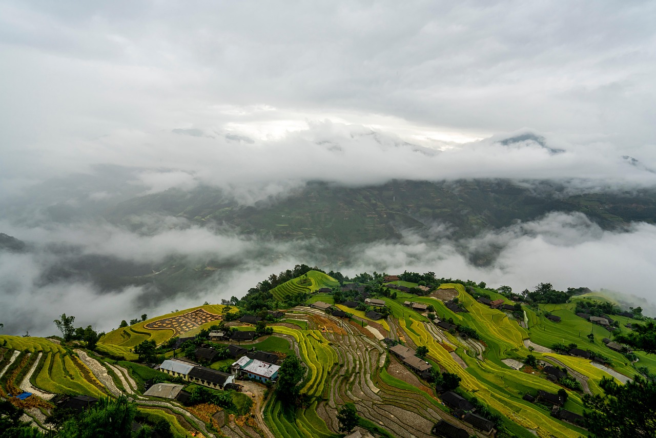 Residential, paddy field, nature — 5 Steps to Grow Your Instagram Following Quickly