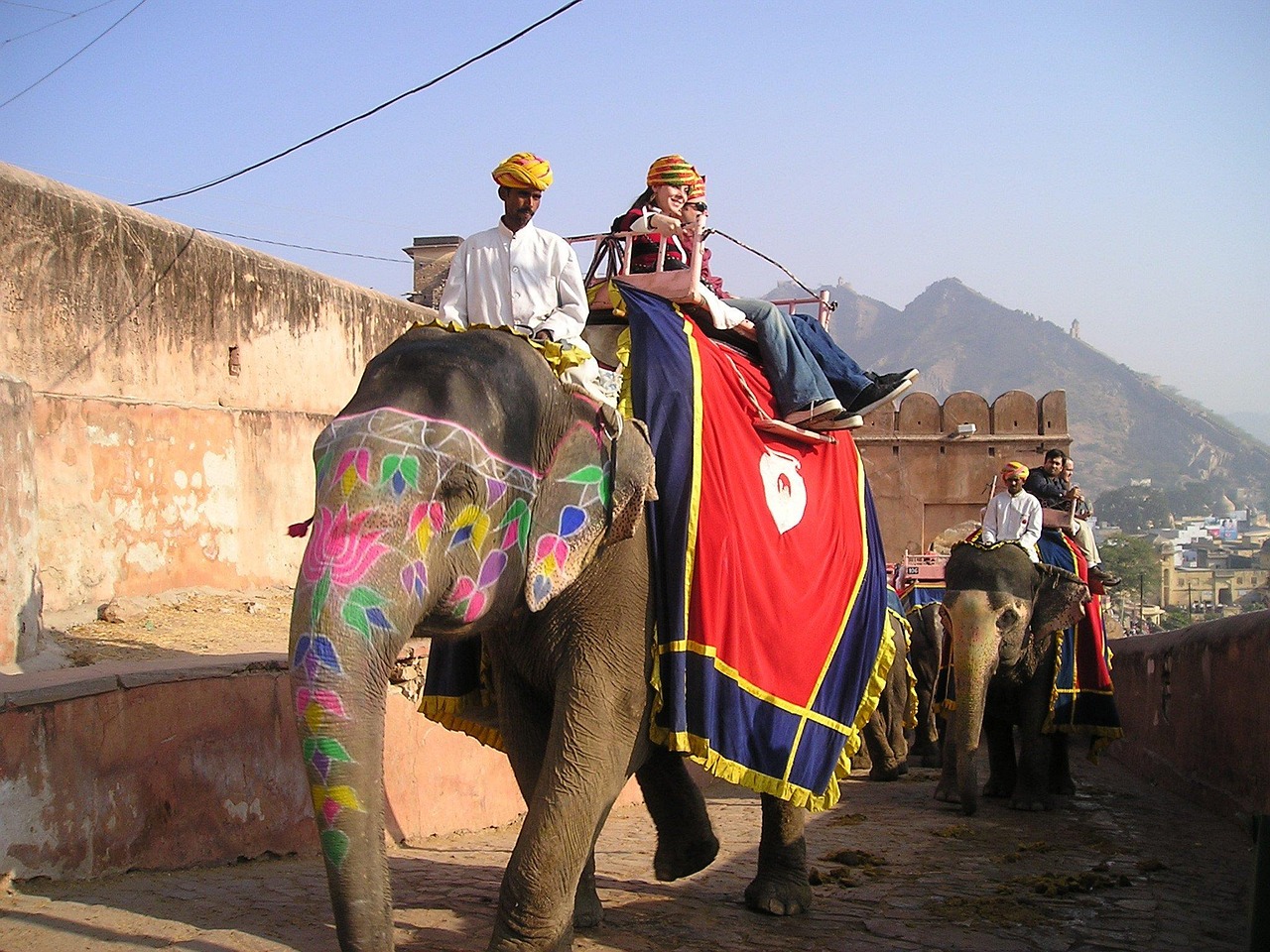 India, elephant, transport — Courage and Compassion: Building Lasting Sobriety in Maryland