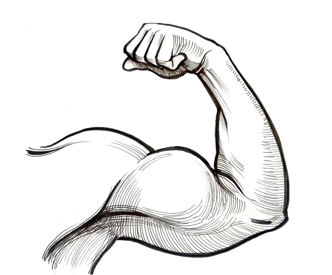 Biceps, muscle, hand — Get The Right Air Heat Pump For Your Home