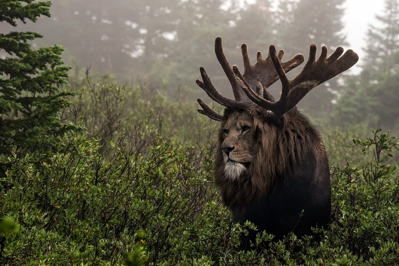 Lion, strength, nature — Ready to Enter the World of Big Web Slots?