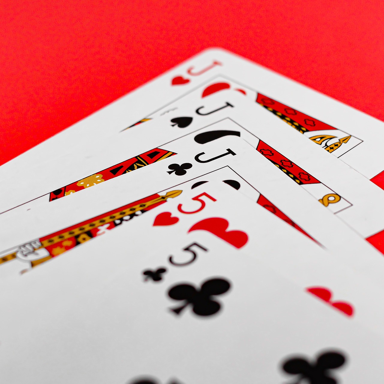 Strike it Rich with a Lucky Ticket