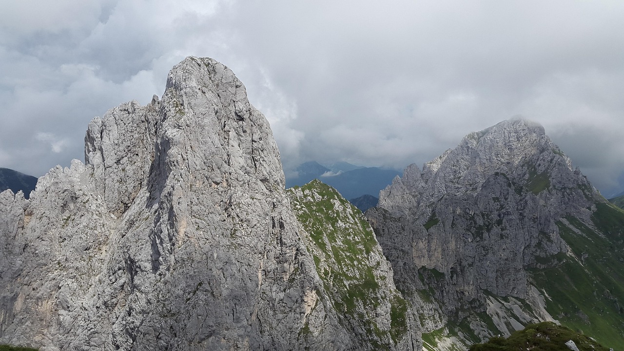 Bullfinch, tannheim valley, alps — Tips to Attract and Retain Quality Buy-in Followers
