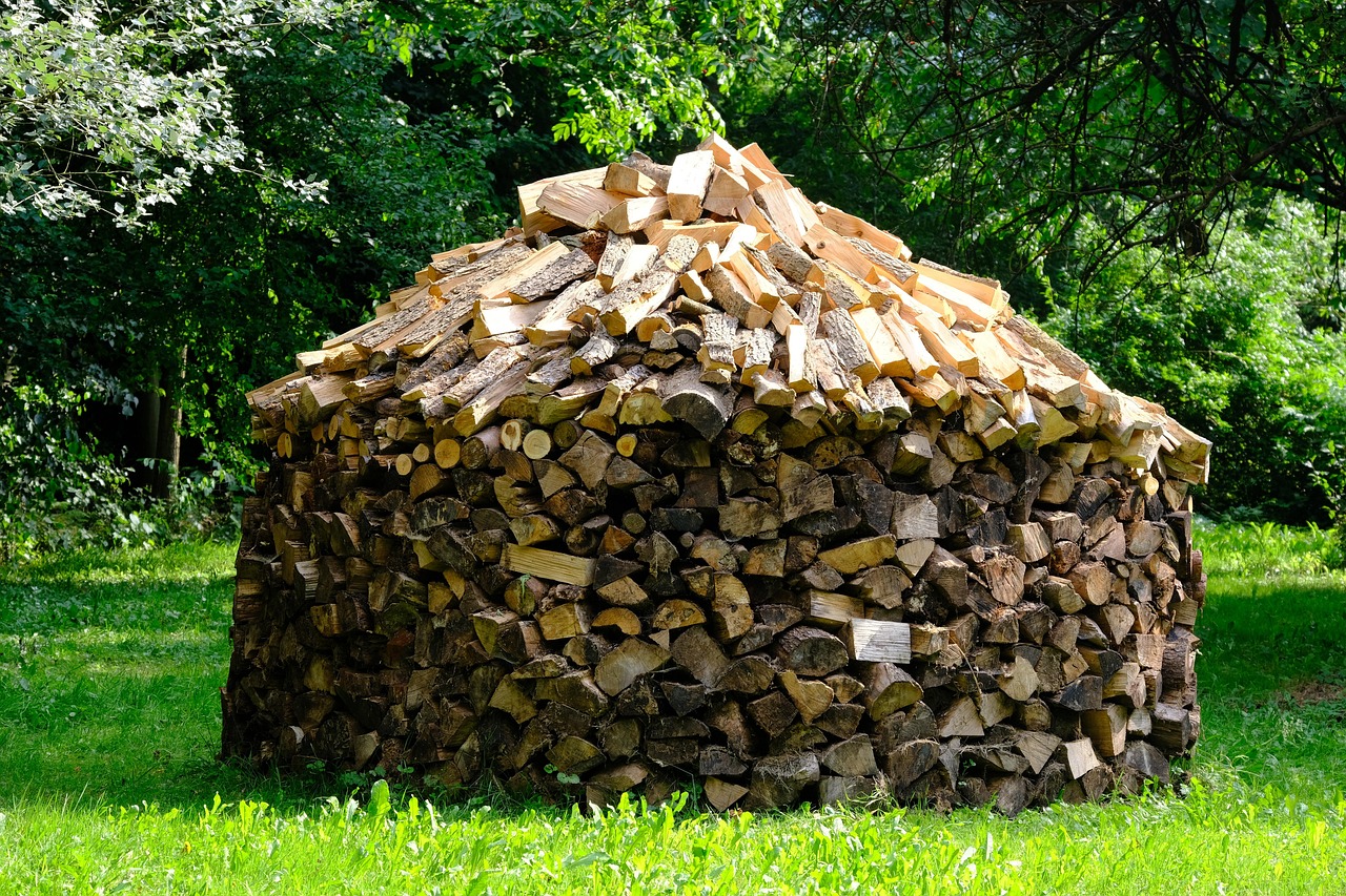 Wood rent, wood, dry wood — The advantages of wood toys over plastic playthings