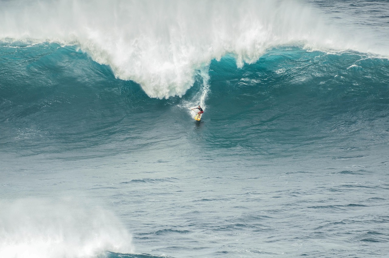 Surfer, sport, waves — Top qualities of a good online betting sportsbook