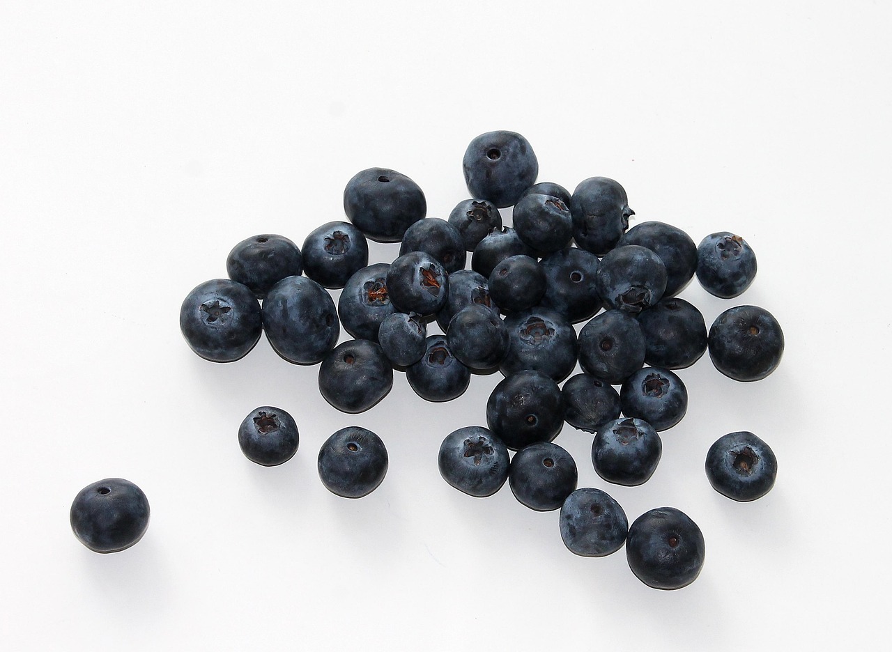 Blueberry, fruit, food — Want to Quit Smoking? - What Studies Say: "can you smoke shrooms?"