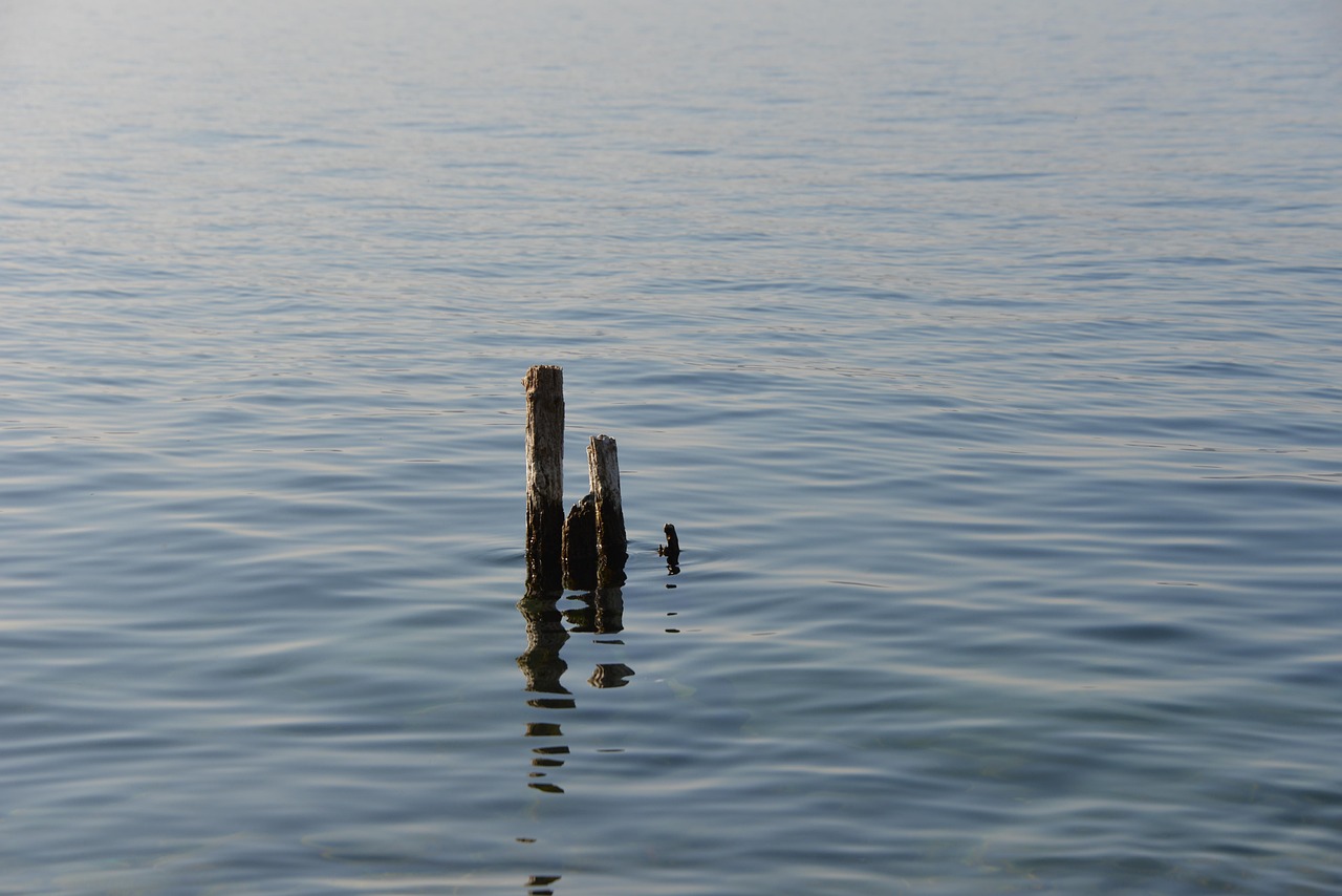 Lake constance, nature, water — What Goes to Stake with Counterfeit Watches?