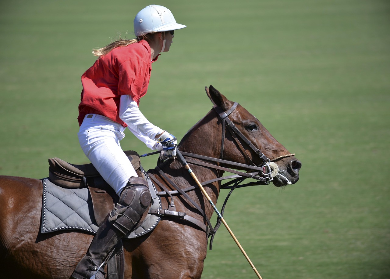 Horse, polo, nature — Where to Buy Traditional Wooden Toys